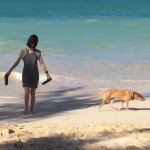 10375756_347892802056084_321380750_a