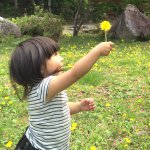 11262877_1430201590630696_1369777417_a