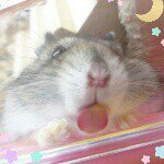 10731635_654210948011389_1848418952_a