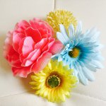 11258665_1410032769319638_712335745_a