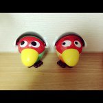 10986281_346423942216213_1299591424_a