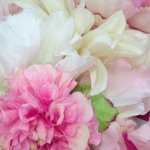 10731984_735441336533302_1969749314_a