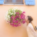 10536894_1503763063169954_1592944037_a