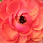 Profile_549222355_75sq_1378830372