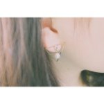 11208326_102964296704620_123892970_a