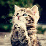 10955125_450982151717581_446802730_a