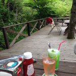 11203499_1418837825102387_1416157201_a