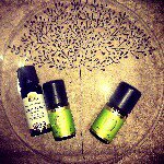 11242480_818569808191799_1885304071_a