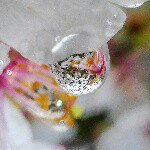 11325171_366797516858429_890823922_a