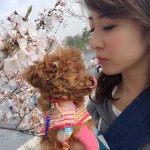 11116930_375029216025881_2047803338_a