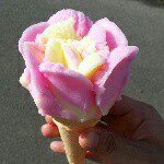 10848342_1503516416588562_1519862129_a