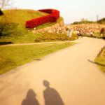 10748015_1480860875530392_2005361959_a