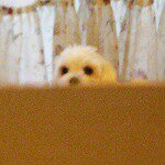 10865279_911520975526390_1494318772_a