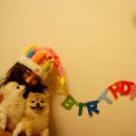 1515122_887023304663897_317263215_a