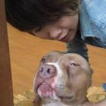 Profile_241290395_75sq_1350951113