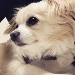 11259230_654700614631174_1388099629_a