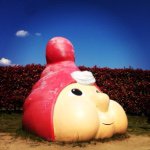 11232568_1572993446306514_1756970063_a