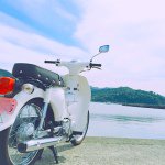 11255390_869267003129720_1638873079_a