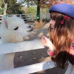 10747776_813094995421639_505108728_a