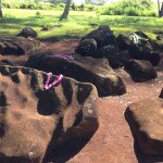 10787963_900510156648275_144417193_a