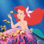 11256252_427006120813029_218282012_a