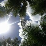 11005089_1068598983156589_1648391744_a