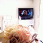 10683932_1469911603288884_964073819_a