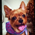 10665546_446525452155032_377725095_a