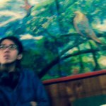 10808630_336598919868943_1909122203_a