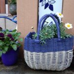 10986299_723223454462872_472757801_a