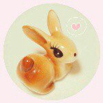 10890633_581938801936900_1773129517_a