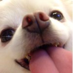 10631988_682155231860810_1610555845_a