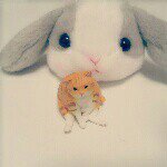 10895118_913223985354722_722491089_a