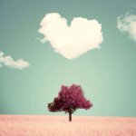 11142885_495252933962360_661640200_a