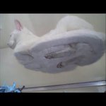 Profile_51997297_75sq_1337859322