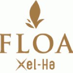 11282144_961068737258745_830122700_a