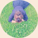 11351529_389941817868254_1672938075_a