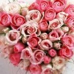 10570141_733351453398327_215405366_a