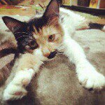 Profile_628135693_75sq_1383111479