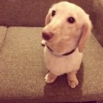 10413050_747255085324899_788289013_a