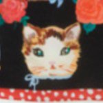 11325170_1601962620043720_1366597810_a