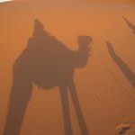 1390004_336669329840132_322598845_a