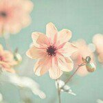 Profile_266987383_75sq_1357140115