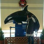 1599209_327897337419804_460862423_a