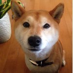 10932237_780811312000389_928940192_a