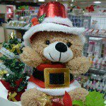 10994988_882550121802392_663149522_a