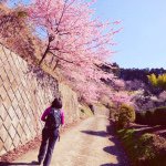 11241672_626629724105282_1071578336_a