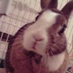 10932265_756158807798629_1370871596_a