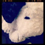 10546706_295381847314103_1103486877_a