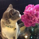 10986011_863635080344428_1647446052_a